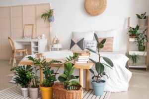 Ideas para decorar paredes de dormitorios - plantas